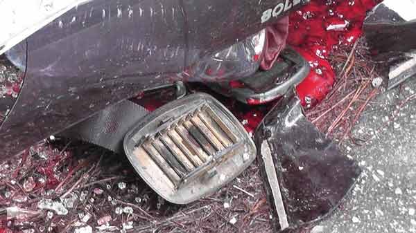 1948501959Untitled-1