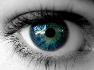 36db3ec6-f2a6-467c-b34c-5e89665bc455_S_secvpf