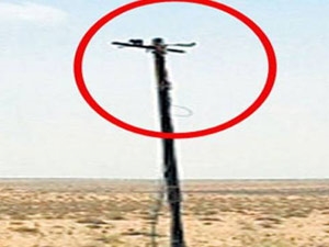 39c7f784-4908-4c3e-a718-958424bada49_S_secvpf