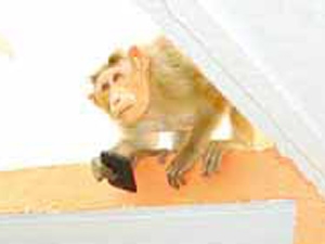 41dcc479-f487-4555-bb6f-daa6277e23b7_S_secvpf