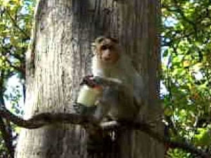 647b23f6-cd5e-4a90-ab6a-304d3fadbc36_S_secvpf