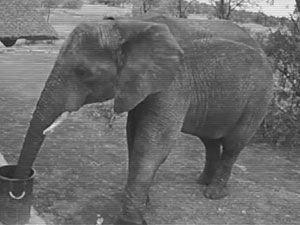 f24b3f0a-ae57-46e6-8d0d-b3b8807da036_S_secvpf