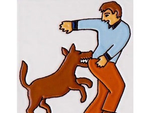 f9f9e49c-5ae5-49d3-b3c8-772c93e096c5_S_secvpf