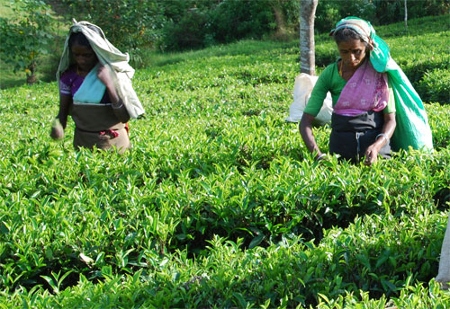 1570023280Untitled-1