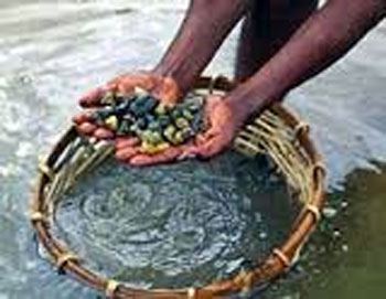 1906773945Untitled-1