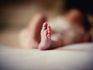 1964dfb3-5d14-428c-b44f-13e511223b3c_S_secvpf