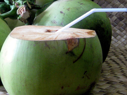 2064587384Untitled-1