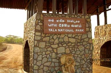 59546473686876281yala-national-park2