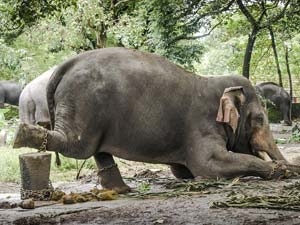 6888ef48-7196-452e-8883-96e29175bf30_S_secvpf