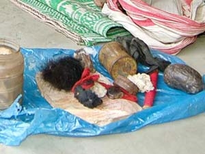 ff56a129-412a-49d4-aaad-51bff17c5324_S_secvpf