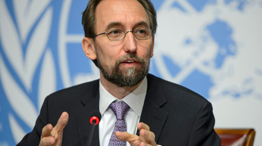 11673302821442938791Zeid3