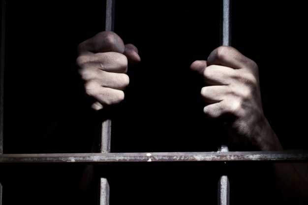 1250367446Untitled-1