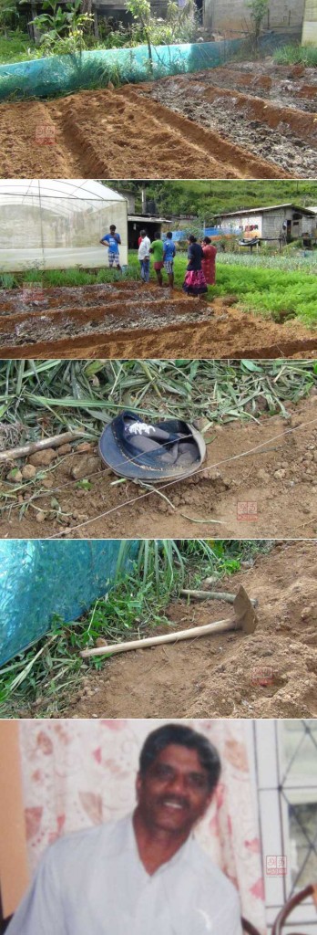 1267216362Untitled-1