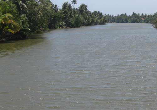 1415909739Untitled-1