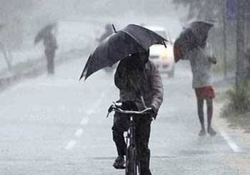 1486660839Untitled-1