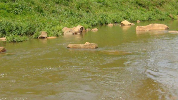 1552792174Untitled-1