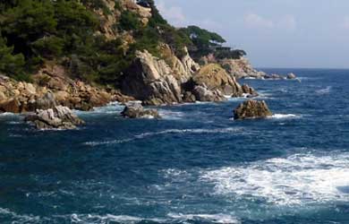 192278945212758907322