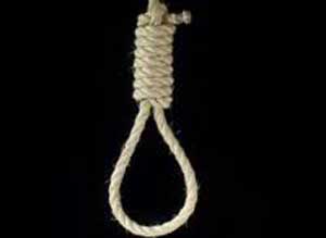 2311847597458347hanging2