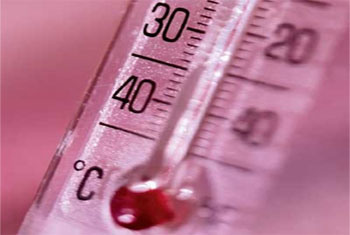 878416575health-cheker2