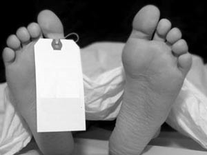 8c2657f1-6df3-466f-a7c2-08564a1995d4_S_secvpf