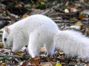 0a96334d-9b0b-45a3-86be-779b4279d4f3_S_secvpf