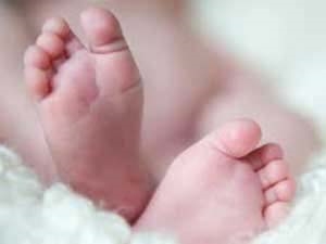 0e483165-359b-4ecd-b687-5cc9f27ae67a_S_secvpf