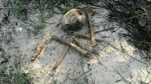 1445068409_9624861_hirunews_skeleton