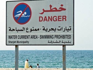 81812022-28d7-4275-8c8e-44b8a2d84421_S_secvpf