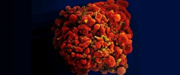 aids_newtrend_002-615x255