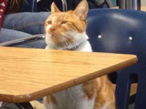 b5e20369-46f1-4ed8-9460-2a0fb21169f4_S_secvpf