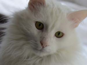 c052a320-dedc-4fa2-94ef-ae3b1cf69e24_S_secvpf