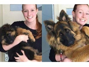 ccc013fa-e00c-4382-aa05-77b242cea913_S_secvpf