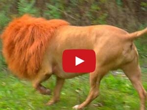 d050071a-cefb-4797-9f9b-dfdfc0c5d4f0_S_secvpf