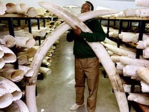 f79afff7-6da1-4819-b6c1-fa6361701a80_S_secvpf