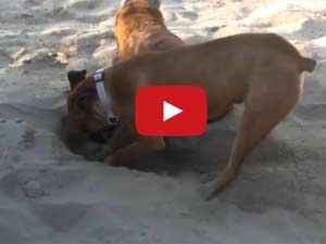 f8f48f2f-6e4e-4062-ac3d-9630870424d2_S_secvpf