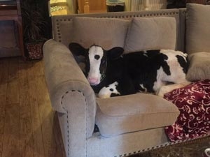 04b3a9be-a043-4d7b-ba82-0c3086482a14_S_secvpf