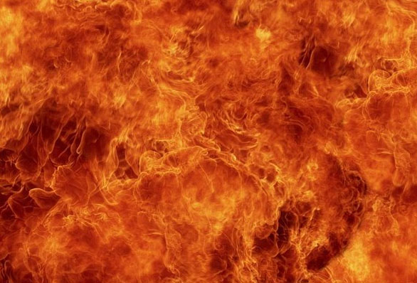 2054808884Untitled-1