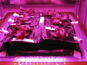 2c1697a3-bb88-4869-b4aa-5568e7caf03c_S_secvpf