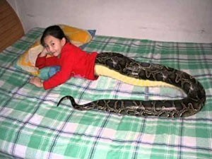 3-1-eb6a4c90cd28b61bc7c1cf69ac0d8fc8