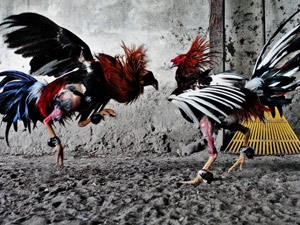 38104406-5aff-4882-b09e-5028c6cf325e_S_secvpf