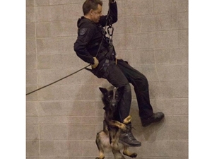 6c83ce9f-9a97-448d-b873-a6d217c55949_S_secvpf