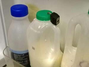 93005068-4e54-4d30-8459-e3657521e3e4_S_secvpf