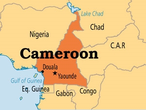 94102d3e-6f7a-4ea9-a0f8-32e8d122ffca_S_secvpf