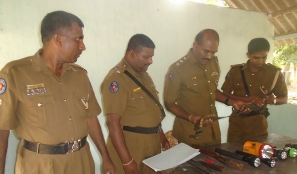 article_1446792195-DSC06761