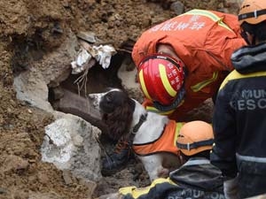 e3e3b856-6c29-4908-ac19-8351f5af587f_S_secvpf