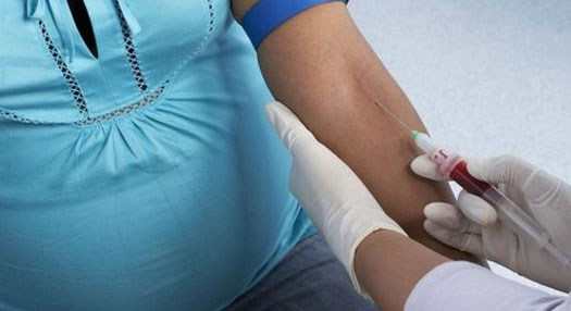 1078809368Untitled-2