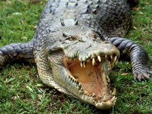 1642de43-bea3-4a2e-b260-f61a5cf08117_S_secvpf