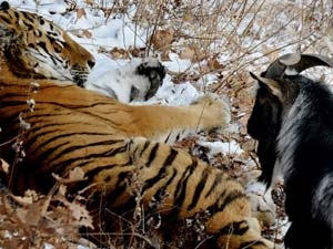 17a666ec-d3bc-41b2-9c3e-302b4d25797b_S_secvpf