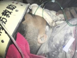 258862e9-67db-4434-b2cf-c8155bf62aa4_S_secvpf