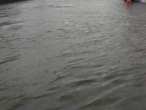 c778c12c-3a6c-4f01-9505-7b8ce0b2ea6e_S_secvpf